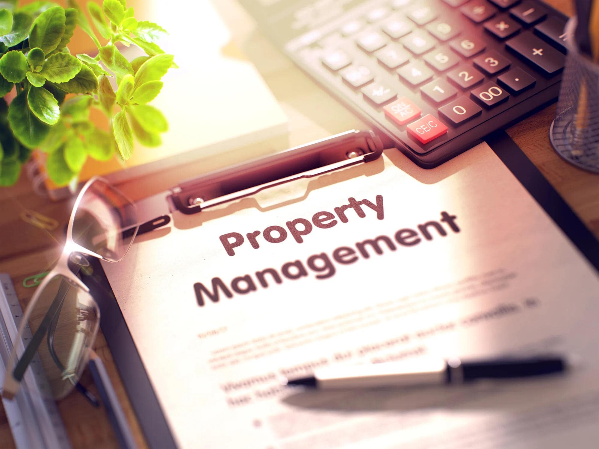 What Can a Property Manager Do for Me?